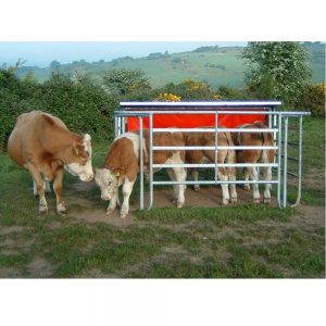 Cattle Corner Tips | Calf Creep Feeder