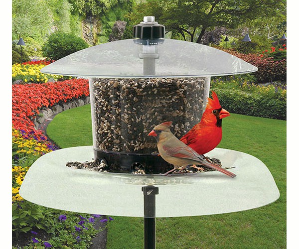 Wild Bird Feed & Supplies Odiorne Feed & Ranch Supply