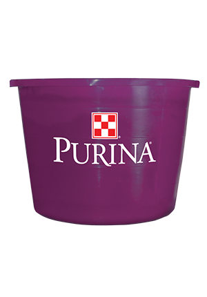 Purina Accuration Sheep & Goat Hi-Fat Block :: Odiorne Feed & Ranch Supply