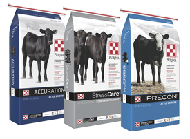 Cattle Feeds