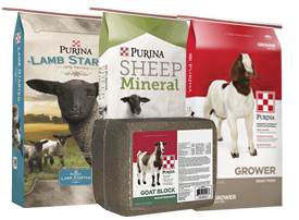 Sheep & Goat Products
