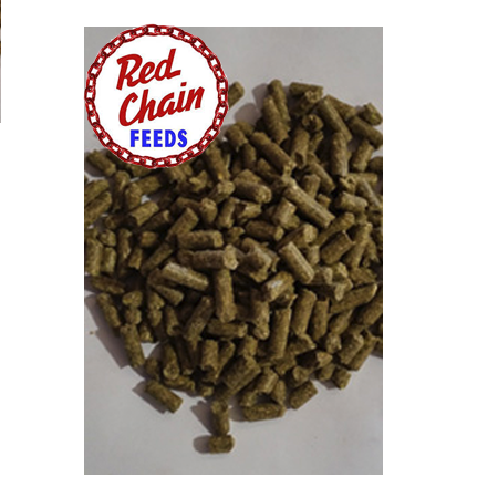 Red Chain 14% Hi-Fat Horse Pellet :: Odiorne Feed & Ranch Supply