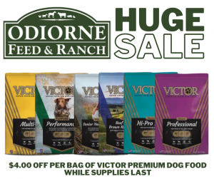 huge march sale