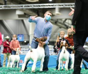 Free Show Ring Success Goat Seminar