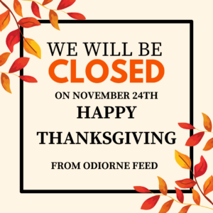 Closed thanksgiving