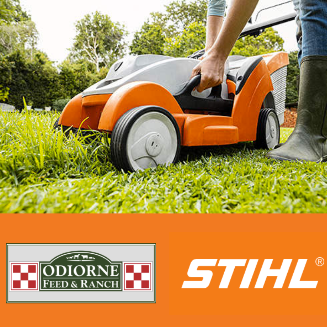 Spring Lawn Care with Stihl Odiorne Feed & Ranch Supply
