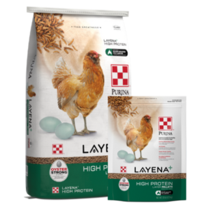 Purina Layena+ High Protein Layer Pellets. 10-lb and 40-lb bags.