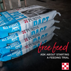 Purina Horse Feed Trial